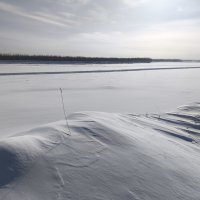 Весна :: Anna Ivanova Весна :: Anna Ivanova