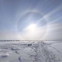 Весна :: Anna Ivanova