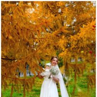 После  регистрации. :: Михаил Курзанцев