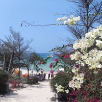 На острове Ко-Лан :: Валентина Богатко 