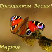 С Праздником Весны! :: Александр Прокудин С Праздником Весны! :: Александр Прокудин