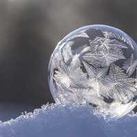 На снегу... :: Андрей Пристяжнюк