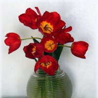 Тюльпаны к празднку. :: nadyasilyuk Вознюк