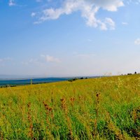 Степь :: Мишель71 