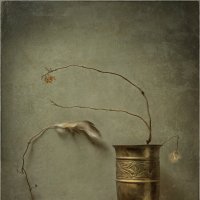 *** :: Oleg Rastorguev