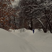 Снега много, а людей мало. :: Татьяна Помогалова