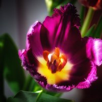 *** :: Виктор Иванович Чернюк