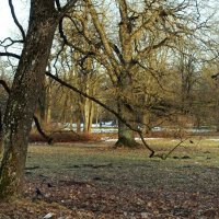 В старинном парке :: Aida10 