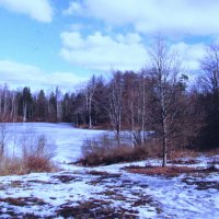 Такой вот март :: Людмила Смородинская Такой вот март :: Людмила Смородинская