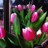 Красота :: Людмила Смородинская