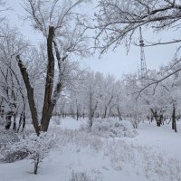 Зимний день :: Андрей Хлопонин