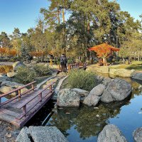 В последнюю осень :: Alexandеr P