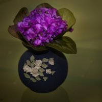 Цикламенчики :: Леонид 