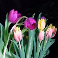 ПРОДОЛЖАЕМ ПРАЗДНОВАТЬ. :: nadyasilyuk Вознюк