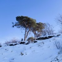 Февраль, Побережье Балтийского моря, Калининградская область :: Рита Симонова Февраль, Побережье Балтийского моря, Калининградская область :: Рита Симонова