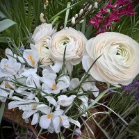 Весенники :: Любовь 