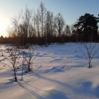 Рассветы :: Галина Минчук