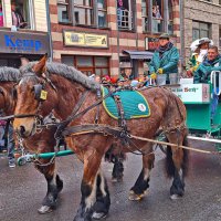 Карнавал в Кёльне :: Андрей K.