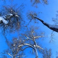 **** :: Андрей Л. В.