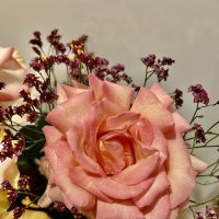 Праздничные цветы :: Натали 