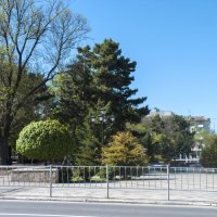 Парк  Тренёва :: Валентин Семчишин