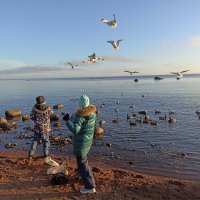 Дети кормят птиц. :: Лилия *