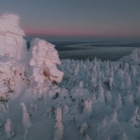 В вечернем свете :: Дмитрий Шишкин