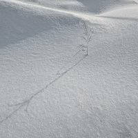 Февраль :: Eugene *