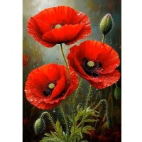 Макро :: Валерий Кокорев