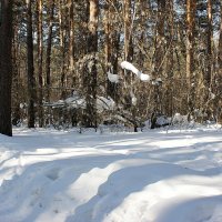 Мартовским днем в парке :: Галина Нестратова