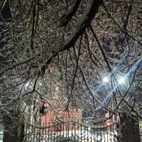 Вечер в Летнем саду :: Сергей Кочнев