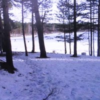 На Можайском водохранилище :: Людмила Смородинская