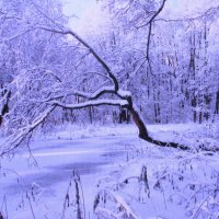 Снег тает медленно :: Людмила Смородинская