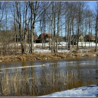 Жизнь у реки... :: Aleksandr Gal