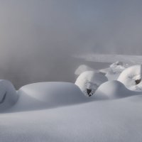 Такая вот весна :: Марина Фомина.