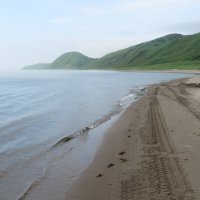 Дикий пляж у пролива Лаперуза :: ИРЭН@ .