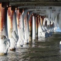 Февраль, Балтийское море, Калининградская область :: Рита Симонова