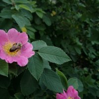 ,,,, :: Сергей Тимоновский