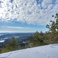 В ожидании тепла :: Наталья Димова