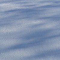 На снегу :: Александр Синдерёв