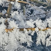 Весенний иней :: Михаил Свиденцов