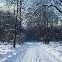 Зимняя дорога :: Freddy 97