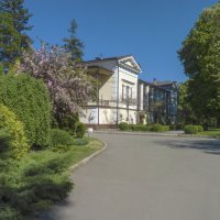 Воронцовский дворец :: Валентин Семчишин