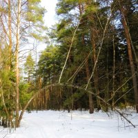 Изогнулась над дорогой :: Андрей Снегерёв