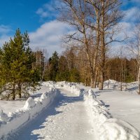Весна набирает обороты 5 :: Андрей Дворников