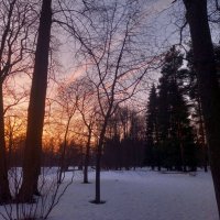 Закат :: Сапсан 