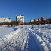 Настоящий март (какой ждем). Перезимовали. :: Андрей Лукьянов Настоящий март (какой ждем). Перезимовали. :: Андрей Лукьянов