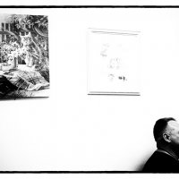 El sueño de la razón produce gatitas :: Maria Rainer