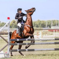 Конкур :: SanSan 