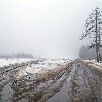 Мартовскими дорогами :: Валерий Иванович